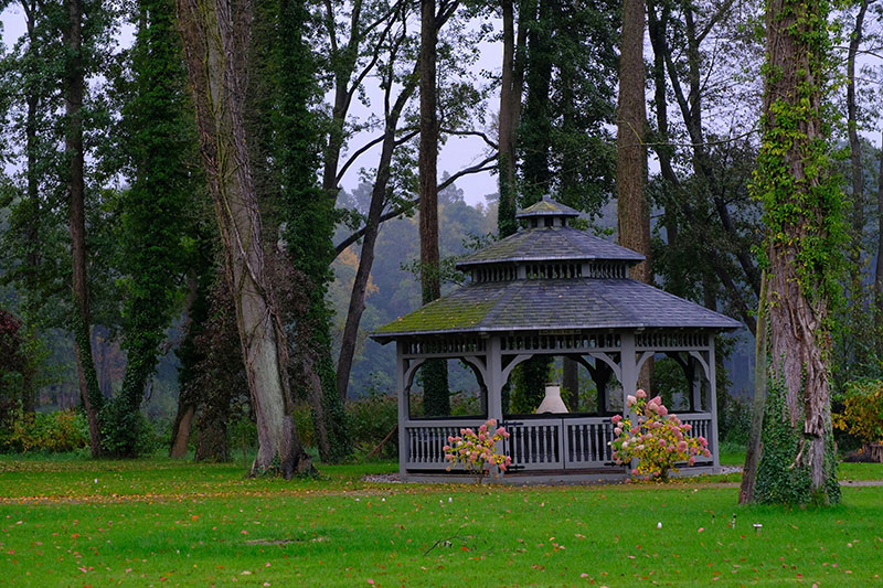 乳房健康警报！乳腺癌早期症状全解析