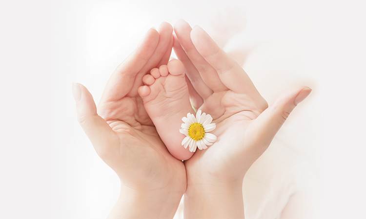 胚胎移植失败与子宫环境有关系吗？